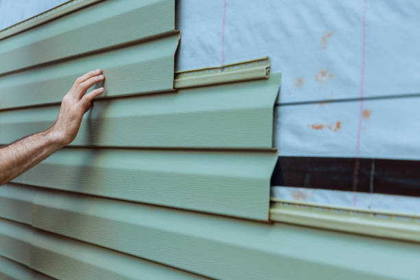 Best Fascia and Soffit Installation  in Elizabethton, TN